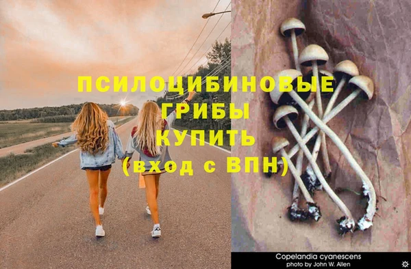 альфа пвп Вязьма