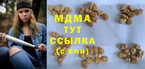 индика Вязники