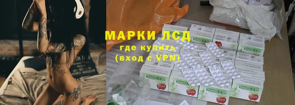 индика Вязники