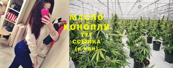 индика Вязники