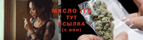 индика Вязники